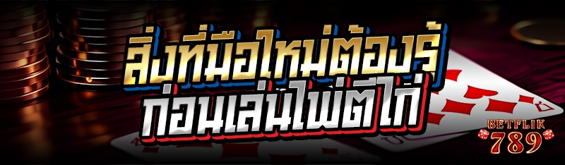 สิ่งที่มือใหม่ต้องรู้ก่อนเล่นไพ่ตีไก่